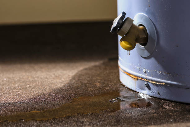 Best Mold removal after water damage  in Lake Forest, CA