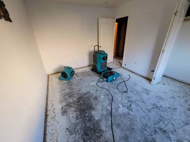 Best 24-hour water damage restoration  in Lake Forest, CA