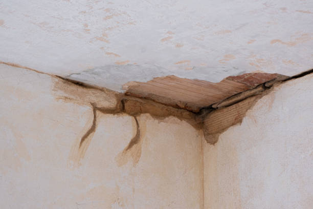 Professional Water damage restoration in Lake Forest, CA