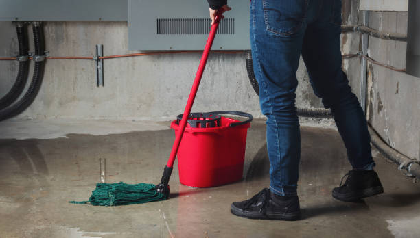 Best Flooded house restoration  in Lake Forest, CA