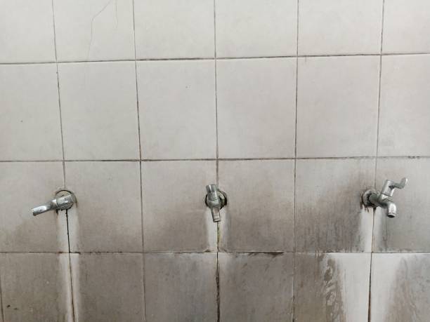 Professional Water damage restoration in Lake Forest, CA