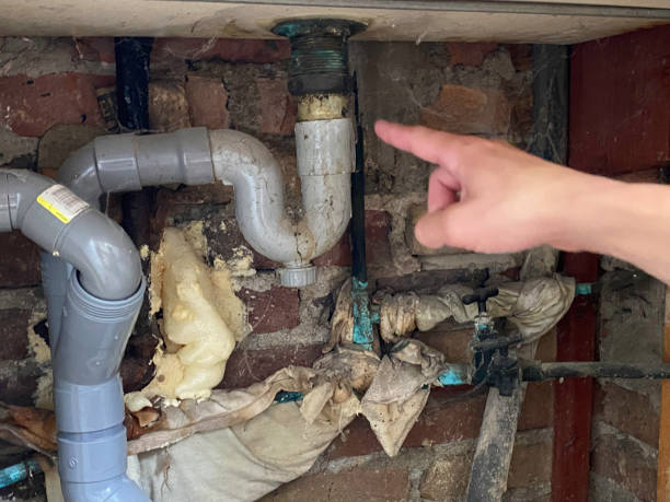 Best Water damage cleanup near me  in Lake Forest, CA