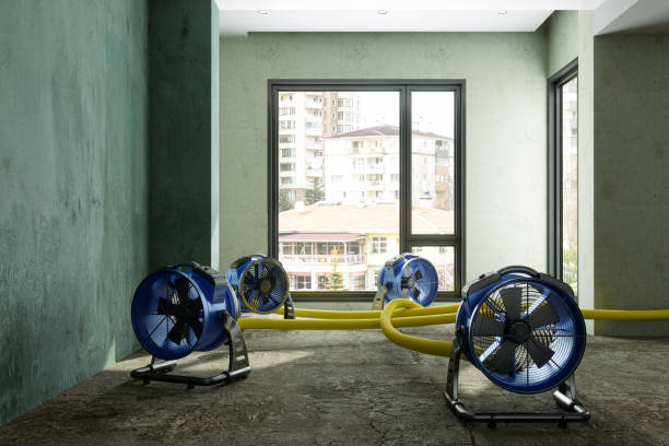  Lake Forest, CA Water damage restoration Pros